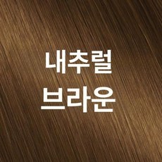 살롱 드 프로 다크 브라운 염색 트리트먼트 다크브라운 염색트리트먼트 컬러트리트먼트 셀프염색, 내추럴 브라운, 1개, 1L