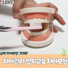 양치교구