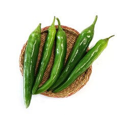 [오창농협] 친환경 오이고추 150g x 2봉, 2개