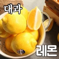 푸릇푸릇 레몬 썬키스트레몬 팬시레몬 10과 30과, 레몬 개당 100g내외 30과