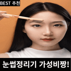 필리밀리접이식눈썹칼