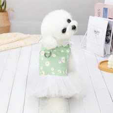 중소형견 봄여름 펫웨어데님 견인사 스커트 강아지 옷 프린세스 스타일 푸들 옷, 녹색, 1개