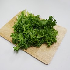 채소파는 가게 치커리, 1팩, 300g