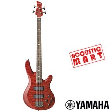trb1004j
