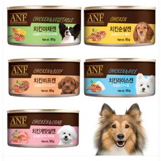 ANF 강아지 캔 95g, 10개, 치킨 게맛살캔