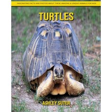 Turtles: Fascinating Facts and Photos about These Amazing & Unique Animals for Kids Paperback, Independently Published