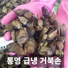 국내산 통영 급냉 생 거북손 900g, 1개, 300g*3팩
