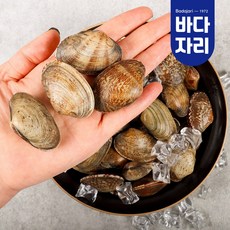 당일어획 남해안 다이버 자연산 바지락, 5kg(일반), 1개