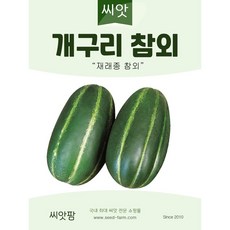 용암참사랑성주참외