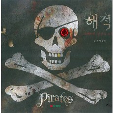논리적인해적들