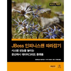 jboss