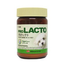 프로락토 프로본 프로비타 프로코트 강아지 고양이 유산균 관절 슬개골 피부 비타민 영양제 1개 프로락토 요구르트 