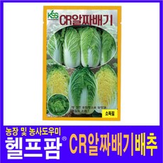 헬프팜 CR알짜배기배추 2천립 씨앗 종자 KS종묘, 1개
