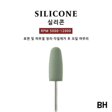 실리콘비트