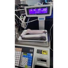 중국산장어