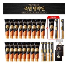 매니아 죽염 명약원 치약18개+칫솔6개+쇼핑백2개, 없음, 1개