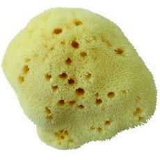 벨리니천연해면