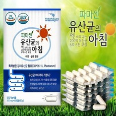 파프리카김치
