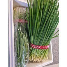 [다듬은실파] 실파 잔파 쪽파 깐쪽파 반값, 3kg, 1개