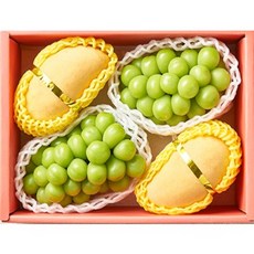 나주샤인머스캣