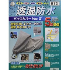 rq-125b