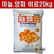땅부자