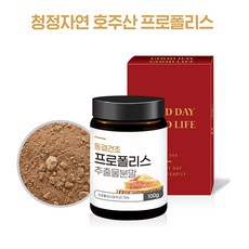 폴라파우더