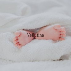 vellutina