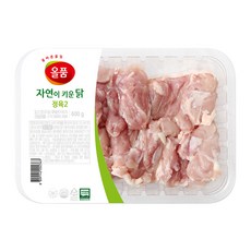 무항생제 인증 자연이키운닭 다리살(냉장) 600g 1팩, 자연이키운닭 다리살 냉장 600g, 1개