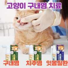 이지캣 고양이 구내염약 구내염 치주염 치은염 잇몸염증 바르는 젤 구강 영양제, 기본형 스프레이(캣닢향)