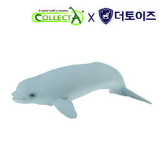 귀욤흰고래