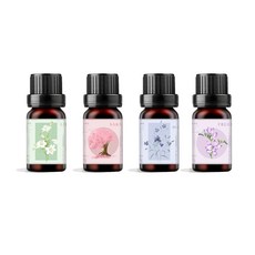 1+1 천연 오일 방향제 차량용 실내 아로마오일 에센셜 오일 방향제 리필, 2개, 10ml, 와일드 블루벨