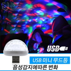 그랜드카니발카오디오