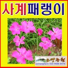 4ef8b47f7fdf214b4aca075fc8acbc3dfffbde6b1ae2496f8c48c1a3ae10.png