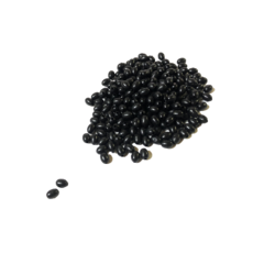 카마로본넷쿠션고무