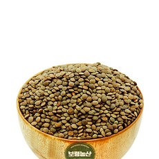 자체브랜드 2020년산 렌틸콩 1kg 2kg 4kg