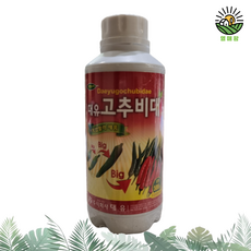 팜스토어