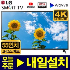 LG전자 55인치 2019년형 4K UHD 스마트 LED TV 55UM6910, 방문수령(일산서구)