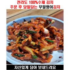 꼬들꼬들 국산양념 무말랭이 무침 반찬 500g 1kg 2kg, 500ml, 1개