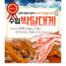 A+급 수입박달대게/수입대게/러시아산/박달대게, 1개, A.러시아 수입대게[A급] 1kg