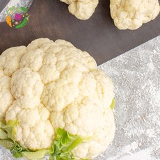 대아프레시 국내산 생 콜리플라워 2개입 개당중량 650g 내외, 1개, 1.2kg