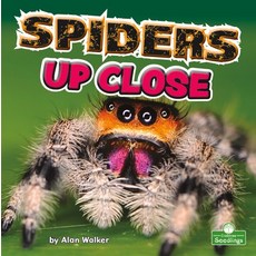 (영문도서) Spiders Up Close Library Binding, Crabtree Seedlings, English, 9781039644656