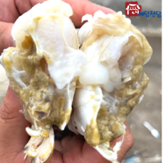 [당일조업] 태안 신진도 가을 활 숫꽃게 빙장포장 제철 꽃게 1KG 3~5마리내외, 1개, 1kg(3~5마리)