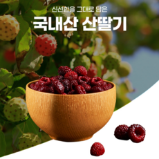[산딸기는 따자마자]경북 청도 산딸기, 1박스, 250g 내외