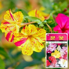 3d7d0519302d22e1e5326ef2ff9667f1eff70967ceba986c7d00d23582b3.jpg