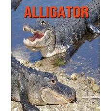Alligator: Children's Books --- Amazing Pictures & Fun Facts on Animals in Nature Paperback, Independently Published, English, 9798555536211