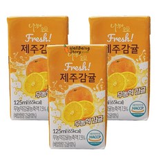 나무야제주감귤