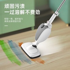 테팔유선스팀청소기