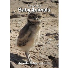 Our Arizona: Baby Animals Board Books, Baobab Press, English, 9781936097180