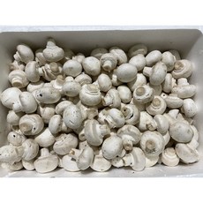 양송이 2kg, 하, 1개